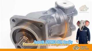 คุณภาพ Oem A2FM63 Rexroth ซีรีส์ 6 แกนลูกสูบมอเตอร์คงที่ราคาโรงงานจัดส่งตู้โชว์อย่างรวดเร็ว